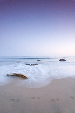 footprints in the sand