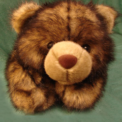 picture of Teddy bear