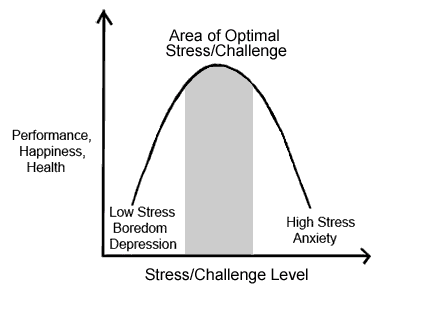 happiness and challenge graph