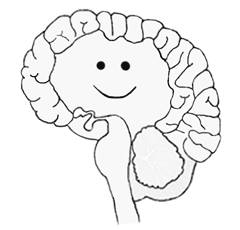 brain with smiley face