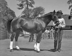 full picture of Seabiscuit