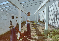 inside greenhouse