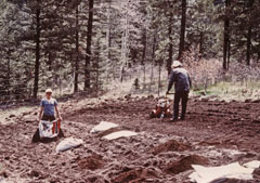 rototilling the soil