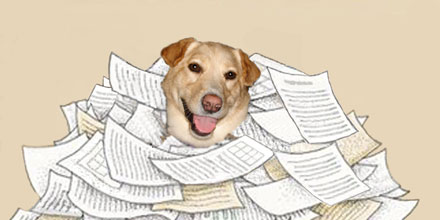 happy dog in a pile of paperwork
