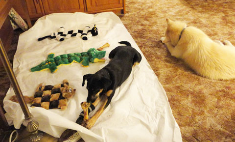 12-26-12-Sammy,-Montana-and-Toys-2