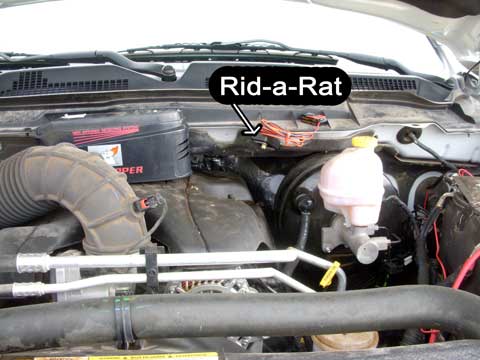 9-22-14-New-Position-for-Rid-a-Rat