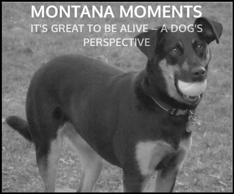 3-11-15-Montana-Moments